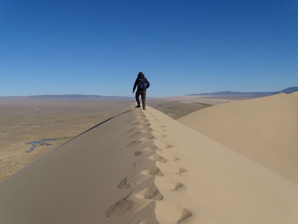 Sanddüne in der Gobi Wüste, Mongolei