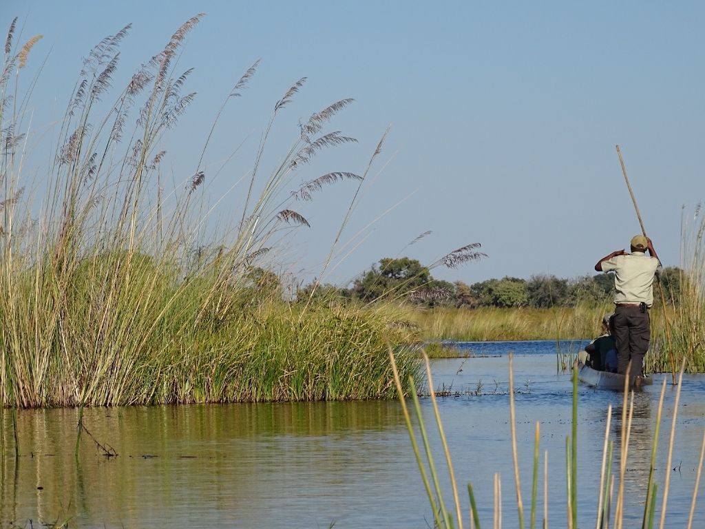Okavango Delta Mokoro