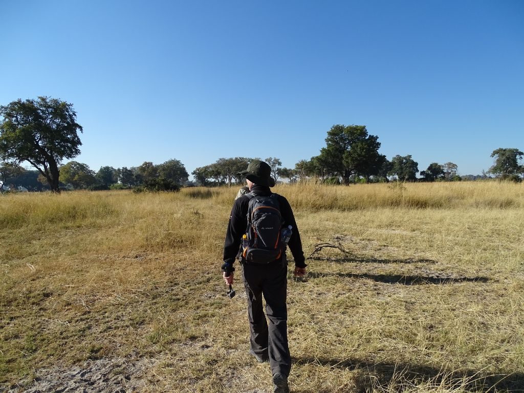 Okavango Delta auf der Suche nach Elefanten