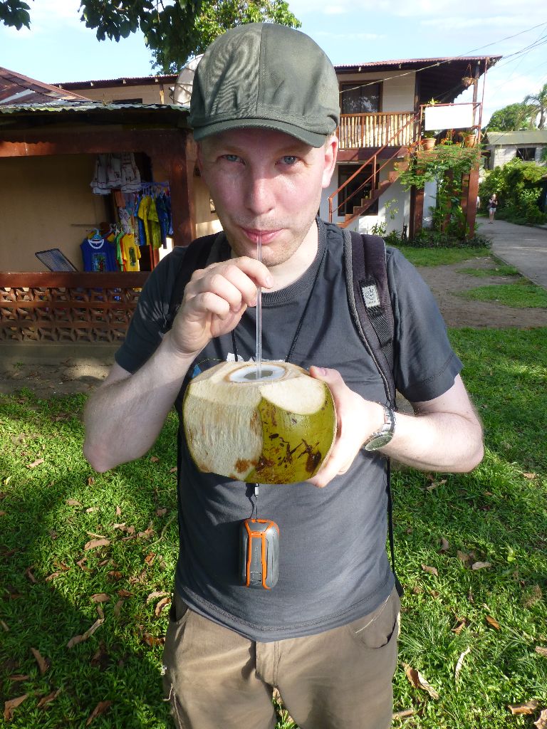 Kokosnuss Tortuguero