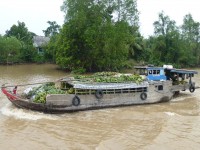 Vietnam Mekong Boot